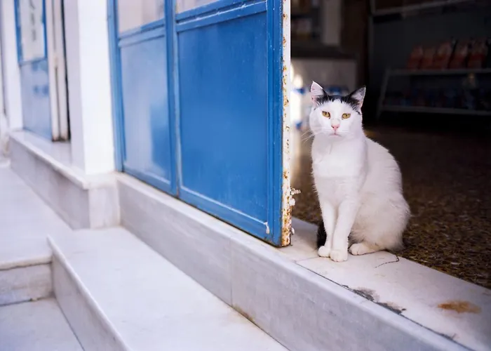 Economy Quadruple Dpan Saint George Naxos *